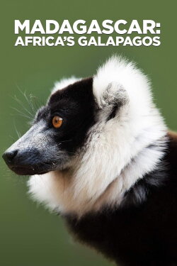 Madagascar: Africa's Galapagos (2019) Madagascar: Africa's Galapagos (2019)