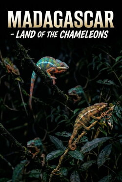 Madagascar: Land of the Chameleons (2012) Madagascar: Land of the Chameleons (2012)