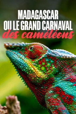 Madagascar or the Great Carnival of the Chameleons (2024)