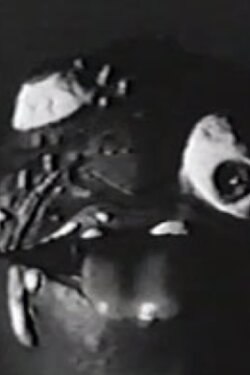 Madball (1988)