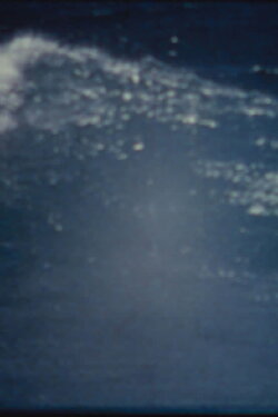 Made Manifest (1981)