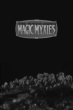 Magic Myxies (1931)