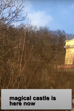 Magical Castle Is Here Now (2021)
