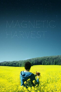 Magnetic Harvest (2019) Magnetic Harvest (2019)