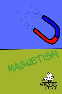 Magnetism (2023)