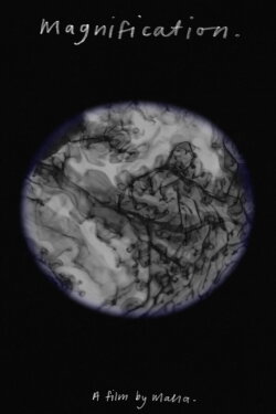 Magnification. (2024)