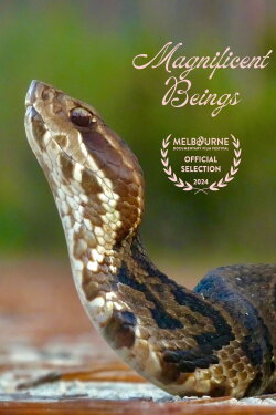 Magnificent Beings (2024) Magnificent Beings (2024)