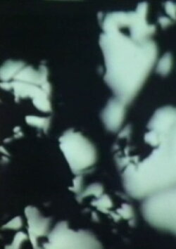 Maïm (1972)