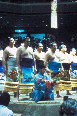 Maïnoumi, une saison dans la vie d'un lutteur de sumo (1993) Maïnoumi, une saison dans la vie d'un lutteur de sumo (1993)