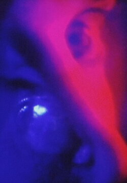 Make Visible the Ghost (2013) Make Visible the Ghost (2013)