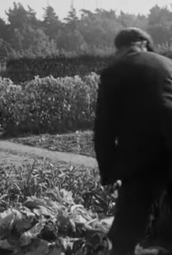 Making a Compost Heap (1942) Making a Compost Heap (1942)