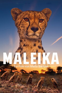 Maleika (2017) Maleika (2017)