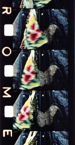 Malik (1977)