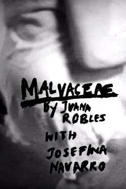 Malvaceae (2019)