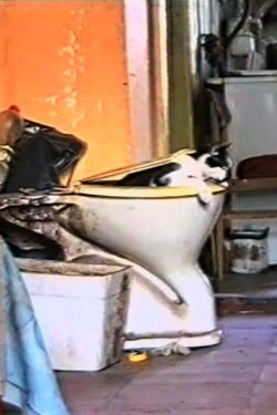 Mama (2001)