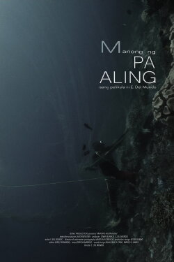 Man of Pa-Aling (2017) Man of Pa-Aling (2017)