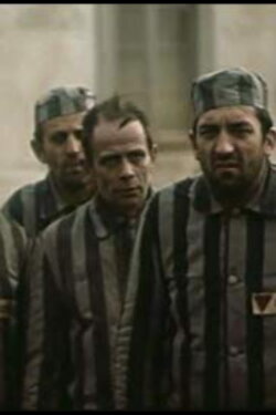 Manifesto for Freedom (1974) Manifesto for Freedom (1974)