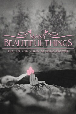 Many Beautiful Things (2015) Many Beautiful Things (2015)