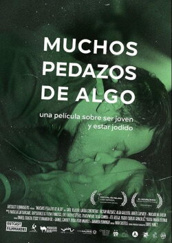 Many Pieces of Something (2015) Many Pieces of Something (2015)