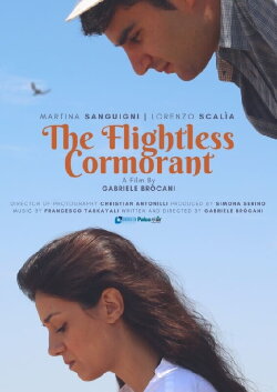 Mara dei Cormorani (2018) Mara dei Cormorani (2018)