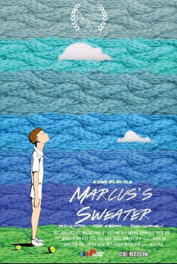 Marcus's Sweater (2016)