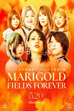 Marigold Fields Forever (2024) Marigold Fields Forever (2024)