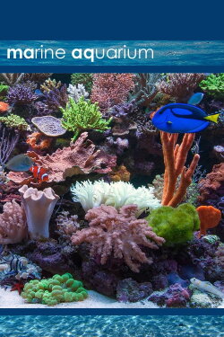 Marine Aquarium (2008) Marine Aquarium (2008)