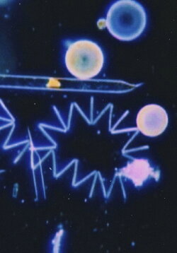 Marine Snow: The Origin of Oil (1960) Marine Snow: The Origin of Oil (1960)