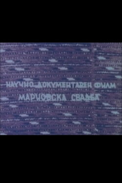 Mariovo Wedding (1966)