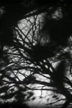Masquerade (2006)