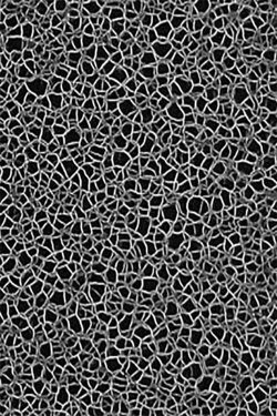 Masses Turbulentes (1976)