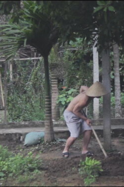 Mat goc (2016)