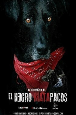 Matapaco (2013)