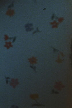 Matins (1988)