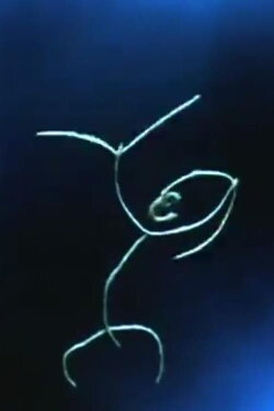 Matter (1963)