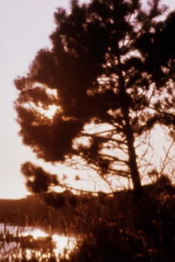 Matter of Clarity (1985) Matter of Clarity (1985)