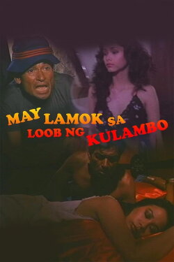 May Lamok sa Loob ng Kulambo (1984)