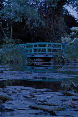 Meadow Report (2021) Meadow Report (2021)