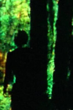 Meandering (2015) Meandering (2015)