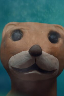 Məca (2021)