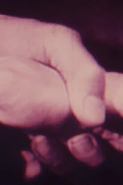 Mechanics Of The Brain (1997) Mechanics Of The Brain (1997)