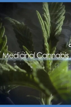Medical Cannabis and Its Impact on Human Health (2011)