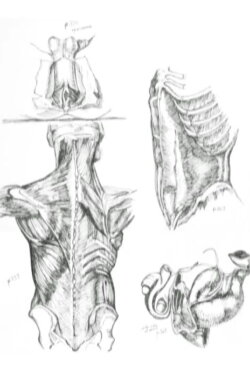 Médicalement (2005) Médicalement (2005)