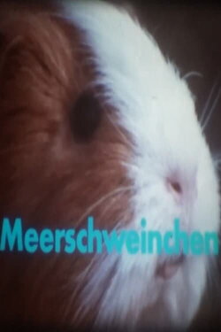 Meerschweinchen (1987) Meerschweinchen (1987)