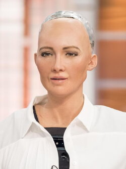 Meet Sophia (2017)