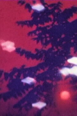 Meet The Forest Demon (1991) Meet The Forest Demon (1991)