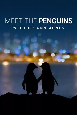 Meet the Penguins (2022) Meet the Penguins (2022)