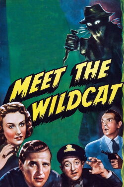 Meet the Wildcat (1940) Meet the Wildcat (1940)