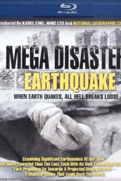 Meg Disaster Earthquake (2010)