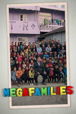 Megafamilies (2011) Megafamilies (2011)